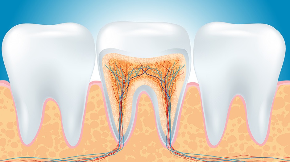 Root Canal Therapy | Lume Dental | General & Family Dentist | Red Deer